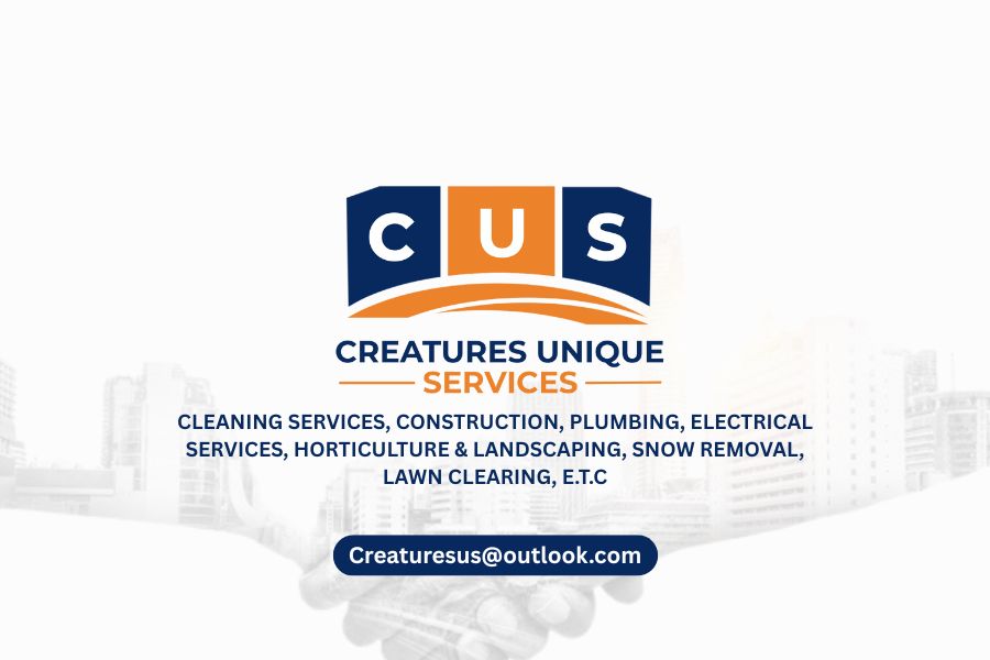 Professional services